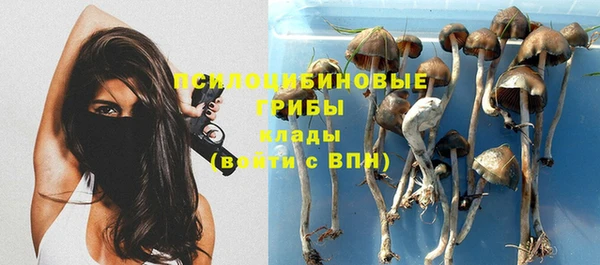 бошки Абаза